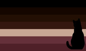 a rectangular flag with 7 horizontal stripes, from top to bottom black, dark brown, brown, medium brown, beige, pink-ish red, and dark pink-ish red. in the bottom right corner is the black silhouette of a cat.